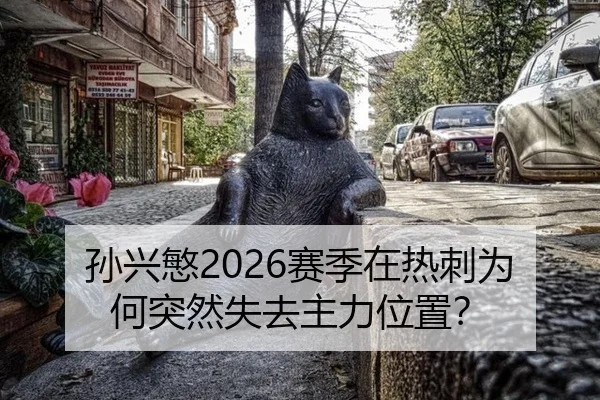 sun-xing-min-sai-ji-zai-re-ci-wei-he-tu-ran-shi-qu-zhu-li-wei-zhi-2-846.jpg